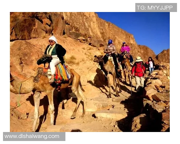 撒哈拉足球的魅力与挑战：在沙漠中追逐梦想的年轻球员们