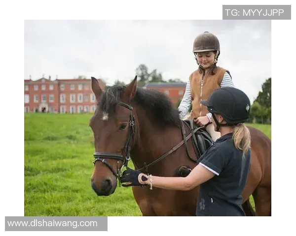 探索全球足球文化与赛事体验的精彩之旅