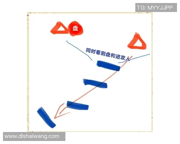 杭州飞盘队区域防守分析与战术得失探讨 杭州飞盘队区域防守分析与战术得失探讨