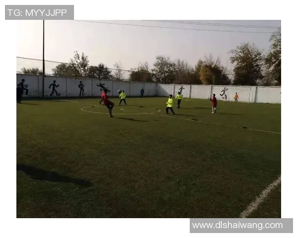 肩膀足球的魅力与技巧探讨如何在比赛中发挥肩膀的独特作用